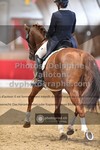 ref. photo 3499758