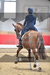 ref. photo 3499759