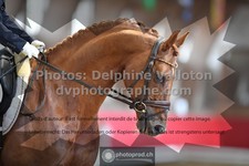 ref. photo 3499770