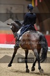 ref. photo 3499806