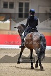 ref. photo 3499807