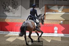 ref. photo 3499835