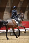 ref. photo 3499842