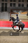 ref. photo 3499847