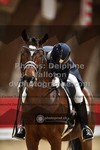 ref. photo 3499864