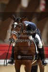 ref. photo 3499867