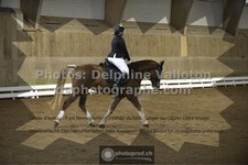 ref. photo 3499917