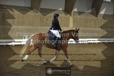 ref. photo 3499939