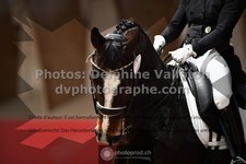 ref. photo 3499951