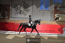ref. photo 3499964