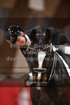 ref. photo 3500027