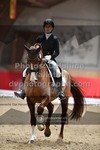 ref. photo 3500031