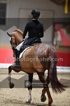 ref. photo 3500032