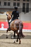 ref. photo 3500033