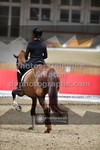 ref. photo 3500034