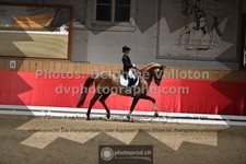 ref. photo 3500038
