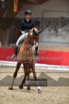 ref. photo 3500043