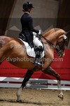 ref. photo 3500045
