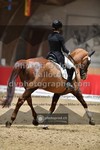 ref. photo 3500048