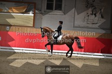 ref. photo 3500050