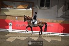 ref. photo 3500051