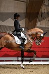 ref. photo 3500054