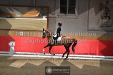 ref. photo 3500061
