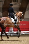 ref. photo 3500072