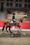 ref. photo 3500078