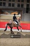 ref. photo 3500079