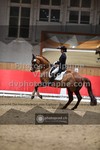 ref. photo 3500080