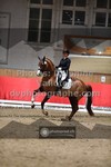 ref. photo 3500081