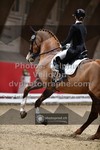 ref. photo 3500083