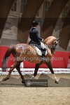 ref. photo 3500087