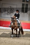 ref. photo 3500093