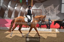 ref. photo 3500104