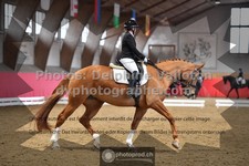 ref. photo 3500112