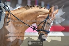 ref. photo 3500117