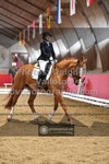 ref. photo 3500127