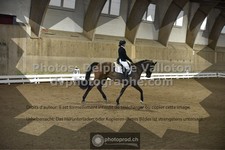 ref. photo 3500154
