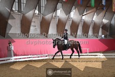 ref. photo 3500189