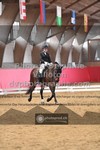 ref. photo 3500190