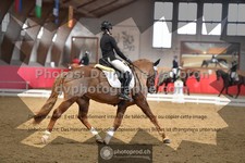 ref. photo 3500208
