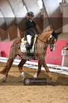 ref. photo 3500230