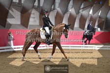 ref. photo 3500233