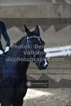 ref. photo 3500265