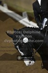 ref. photo 3500288