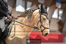 ref. photo 3500314