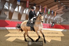 ref. photo 3500322