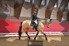 ref. photo 3500326